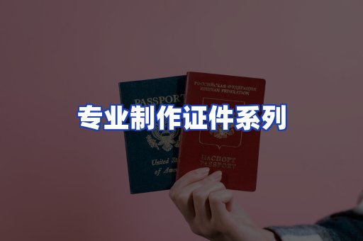 专业制作证件系列